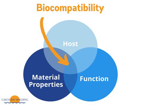 Fibronectin: Un allié incontournable dans la fabrication d'implants biocompatibles !